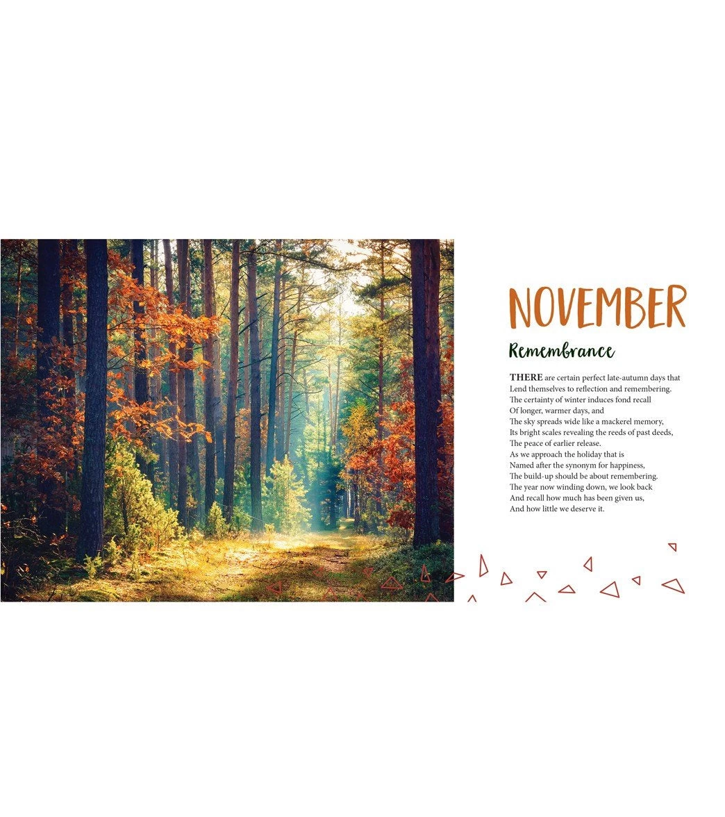 Workman Publishing Daily Thanks: The Year-Round Gratitude Journal