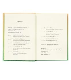 Abrams Books Meditation For Daily Stress